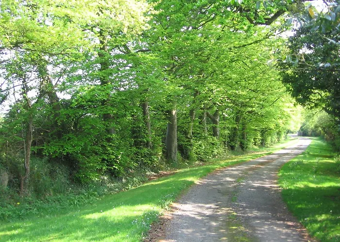 Ballinclea House Bed And Breakfast